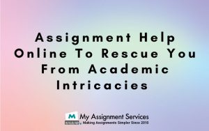 Assignment Help Online To Rescue You From Academic Intricacies